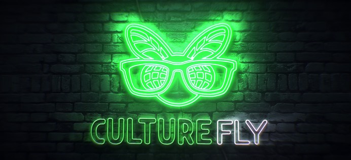 Gift Idea for Geeks and Pop Culture Fans: CultureFly Subscription Boxes