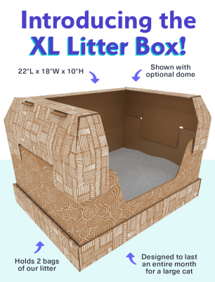 Kitty Poo Club Releases XL Litter Box For Larger Kitties!