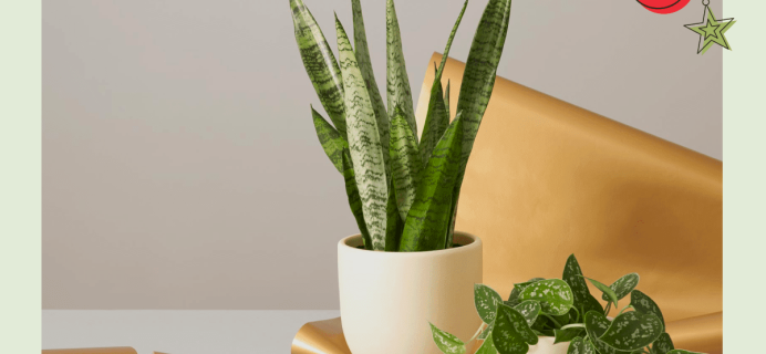 Be a Plant Parent: Subscribe to The Sill at 15% off!