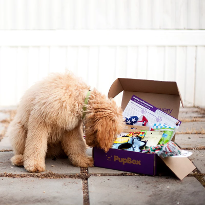 PupBox New Year’s Eve Kickoff Sale: $22 Off Your First Dog or Puppy Box!