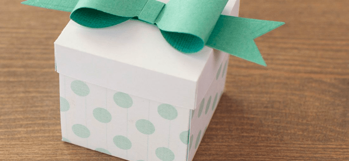 Cricut Organization Mystery Box: Start The New Year Right!