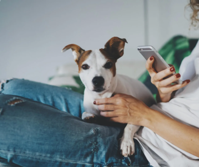 Hello Pupscription: Online Vet Appointments With Vetster!