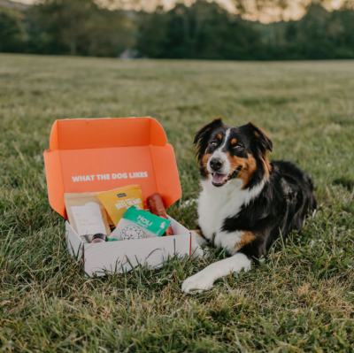 What The Dog Likes Coupon: 10% Off First Box of Full-Sized Dog Treats & Chews!