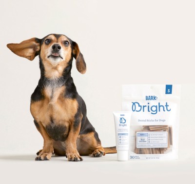 Reasons You’ll Need Bark Bright For Your Dogs’ Oral Health