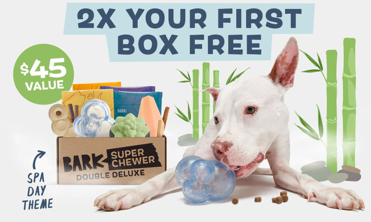 spa day bark box