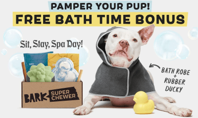 Super Chewer Deal: FREE Dog Robe & Rubber Ducky Toy With First Box of Tough Toys for Dogs!