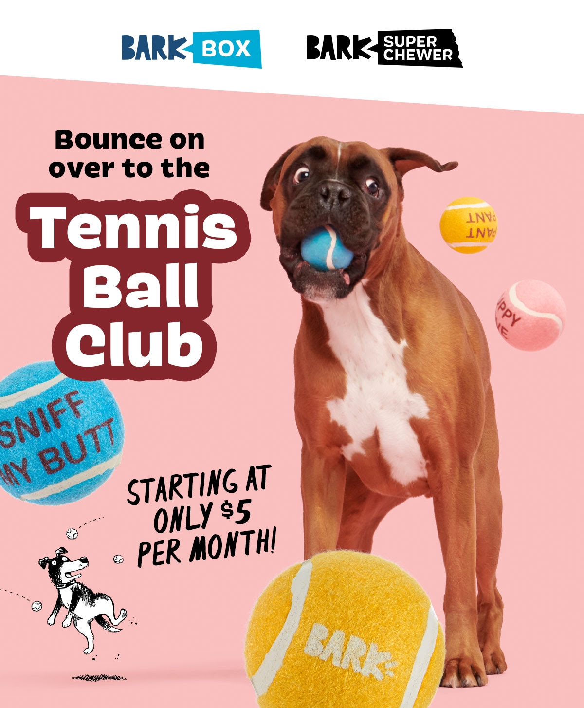 bark box tennis balls