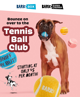 BarkBox Tennis Ball Club: Add These Adora-BALL Toys To Your BarkBox For Just $5!