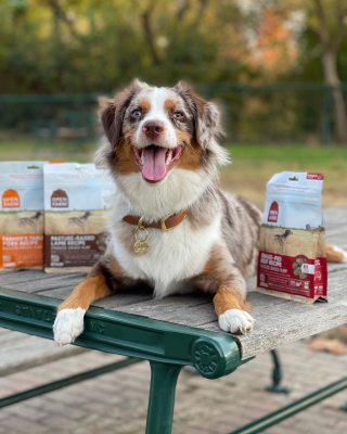 Hello Pupscription: Open Farm – Subscription For Wholesome Dog Food!