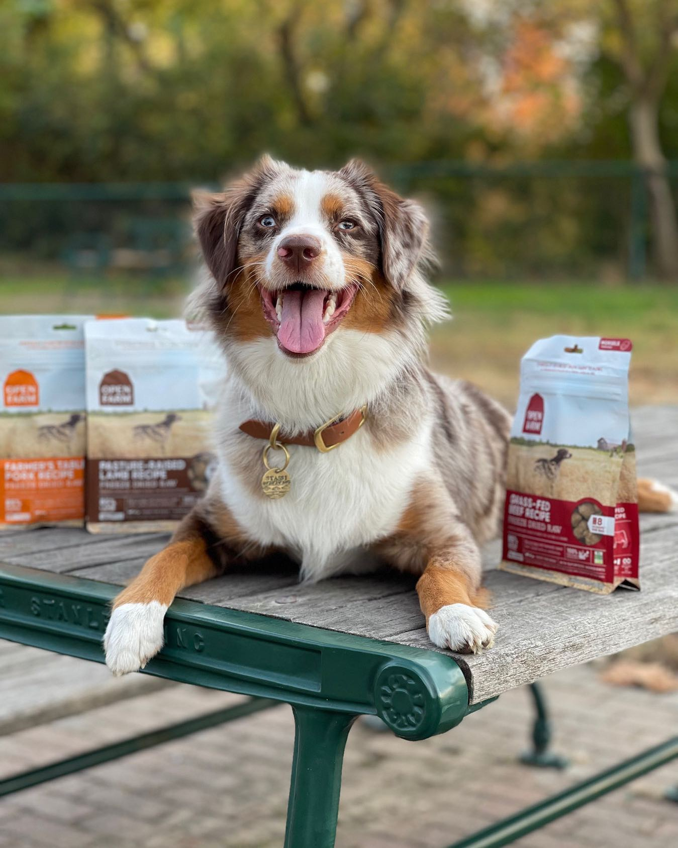 open farm dog food coupon