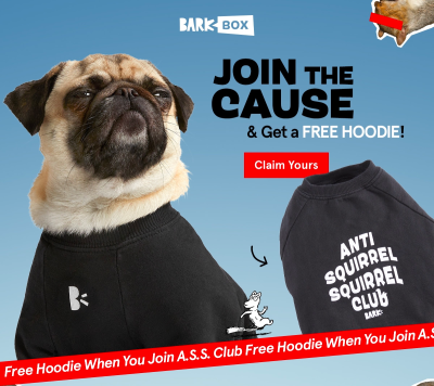 BarkBox & Super Chewer Deal: FREE Anti Squirrel Club Sweatshirt With First Box of Toys and Treats for Dogs!