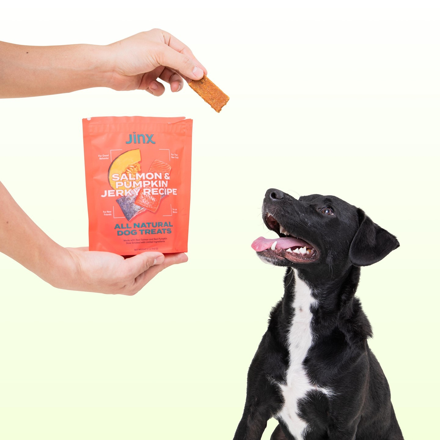 jinx dog food coupon