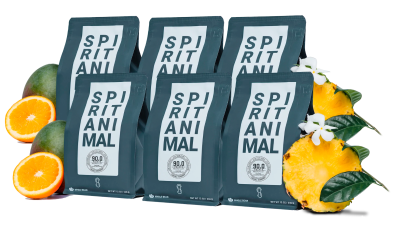 Spirit Animal Coffee Coupon: Up To 50% Off Premium Honduran Specialty Coffee!