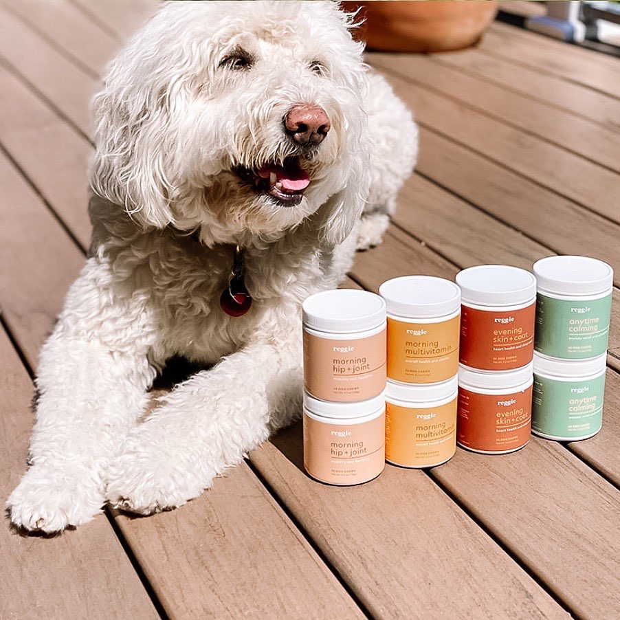 Reggie Coupon 20 Off First Order of Dog Supplements! Hello Subscription