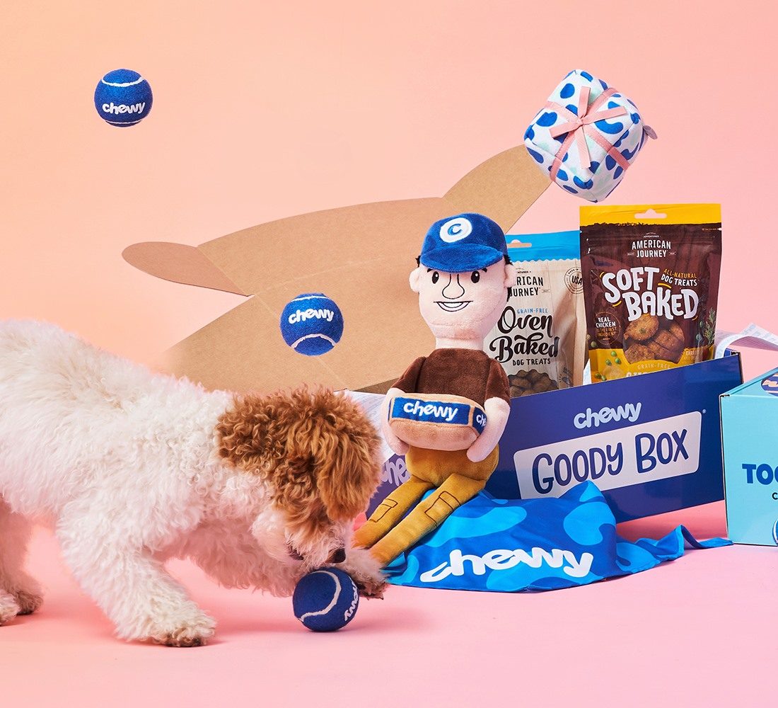 Best 2024 puppy box