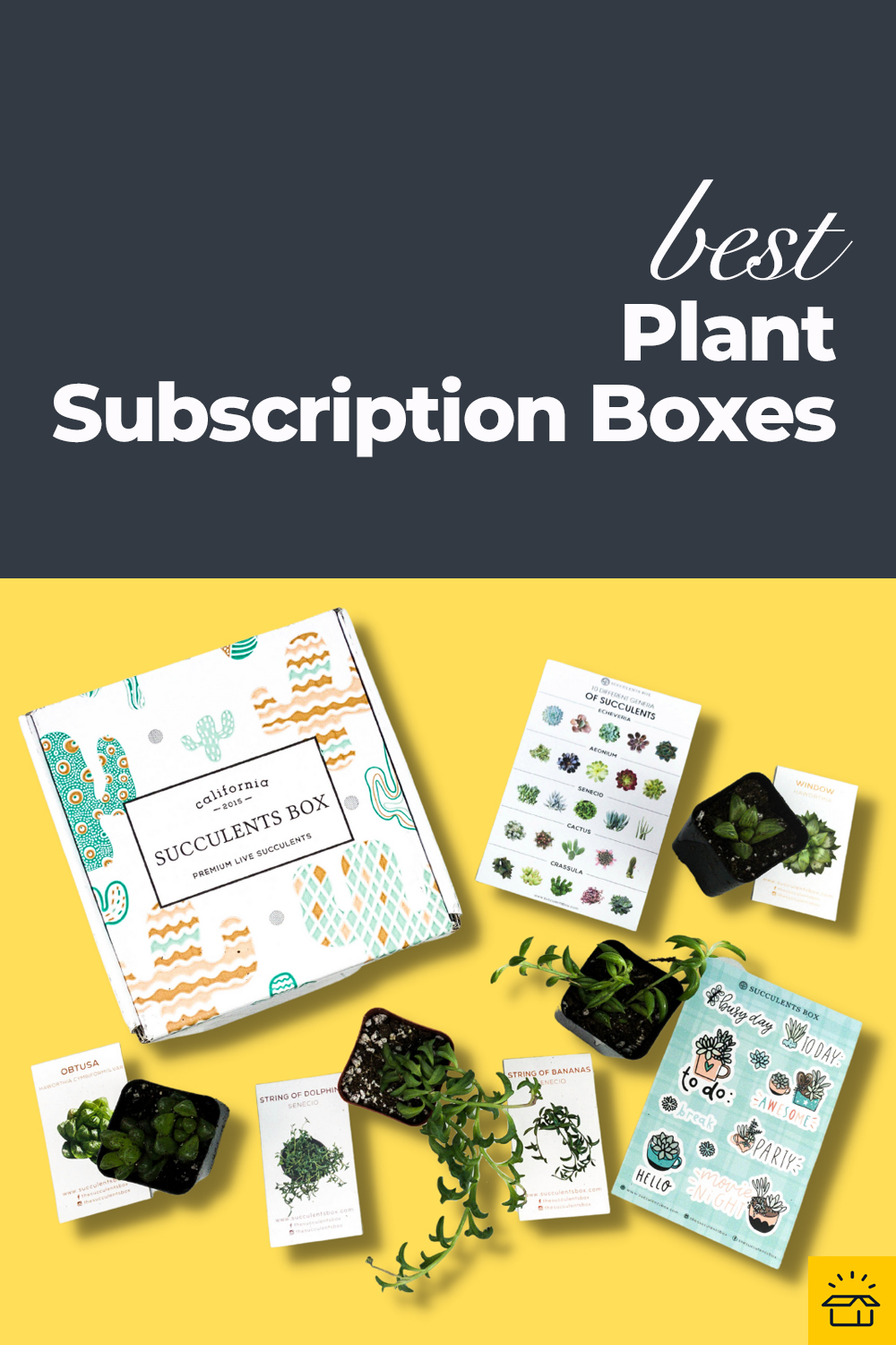 The 9 Best Indoor & Outdoor Plant Subscription Boxes in 2024 Hello