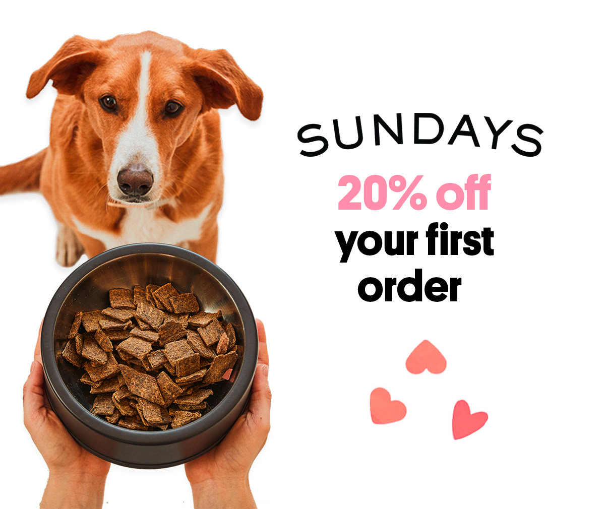 sundays dog food coupon