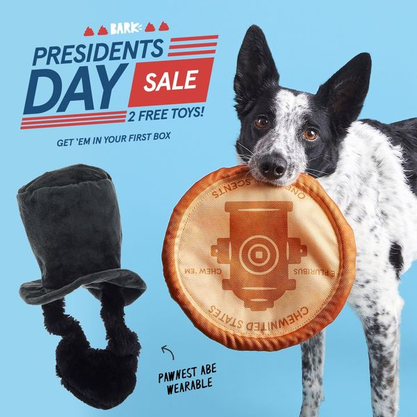 barkbox president toy