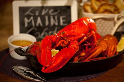 Get Maine Lobster Coupon: 10% Off Your First Order Of Sweet, Wild-Caught Lobsters!