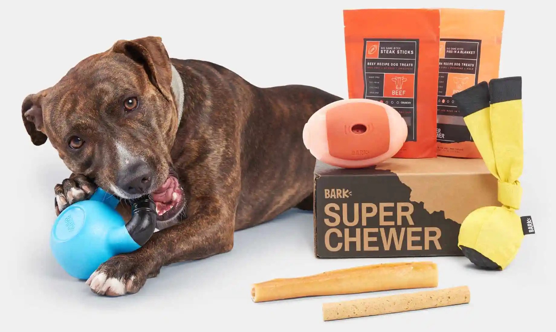 BarkBox Super Chewer Deal FREE FUNBOY Splash Pad With First Box of Toys and Treats for Dogs Hello Subscription