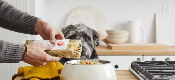 Hello Pupscription: The Farmer’s Dog – A Smarter, Healthier Pet Food Subscription