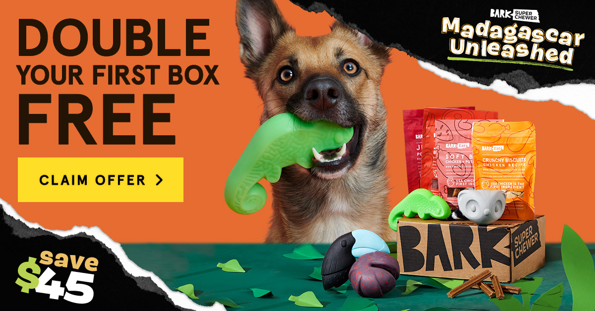 Barkbox super clearance chewer box