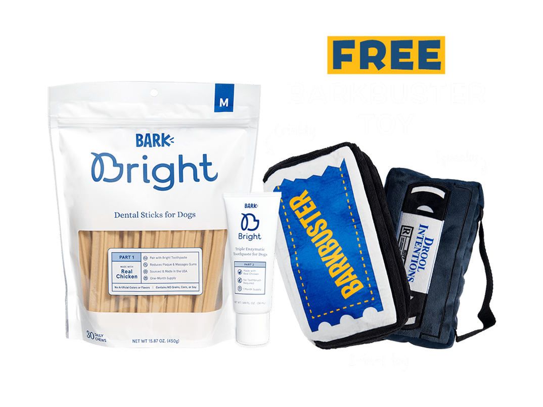 bark bright dental toy