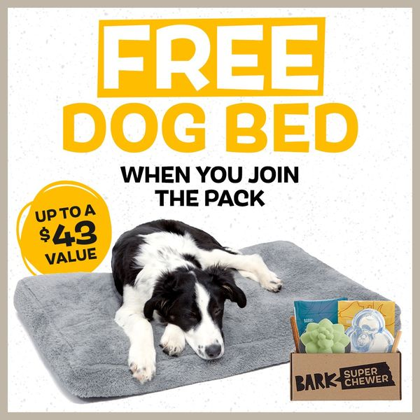 BarkBox & Super Chewer Deal: FREE Dog Bed With First Box of Toys and ...