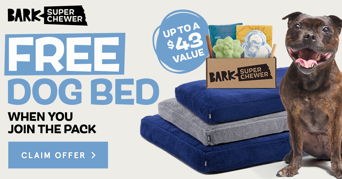BarkBox & Super Chewer Deal FREE Dog Bed With First Box of Toys and