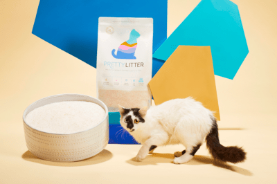 PrettyLitter Coupon: 20% Off Health-Enhancing Cat Litter!