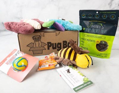 Pug Box March 2022: Cuddle Bugs!