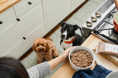 Personalized Meal Plans For Dogs: 4 Reasons To Serve The Farmer’s Dog To Your Fur Babies