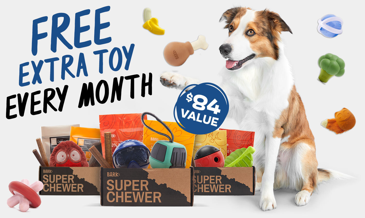 barkbox coupon free toy