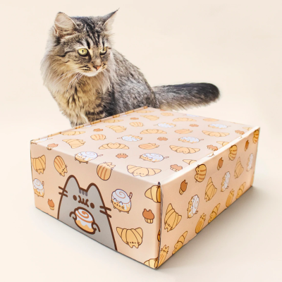 Cat Kit by Pusheen Box Summer 2022 Theme Spoilers: Sweet Picnic!