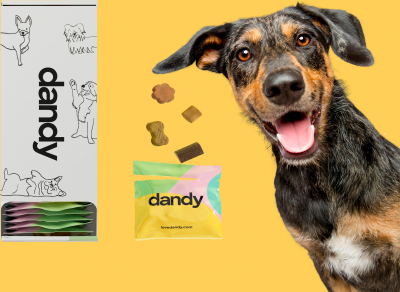 Dandy Coupon: Get 50% Off First Box of Dog Supplement Treats!