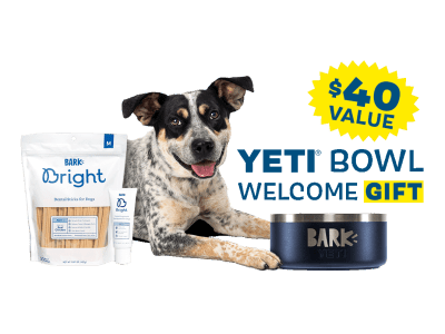 Bark Bright: FREE Yeti Dog Bowl With First Dog Dental Kit!