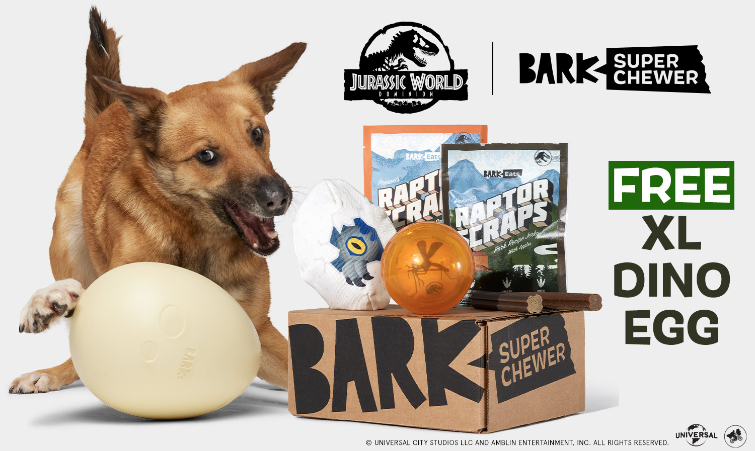 bark box egg toy