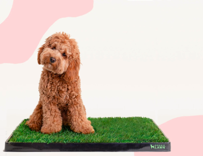 DoggieLawn Coupon: Save $5 On Your First Real Grass Patio Potty!