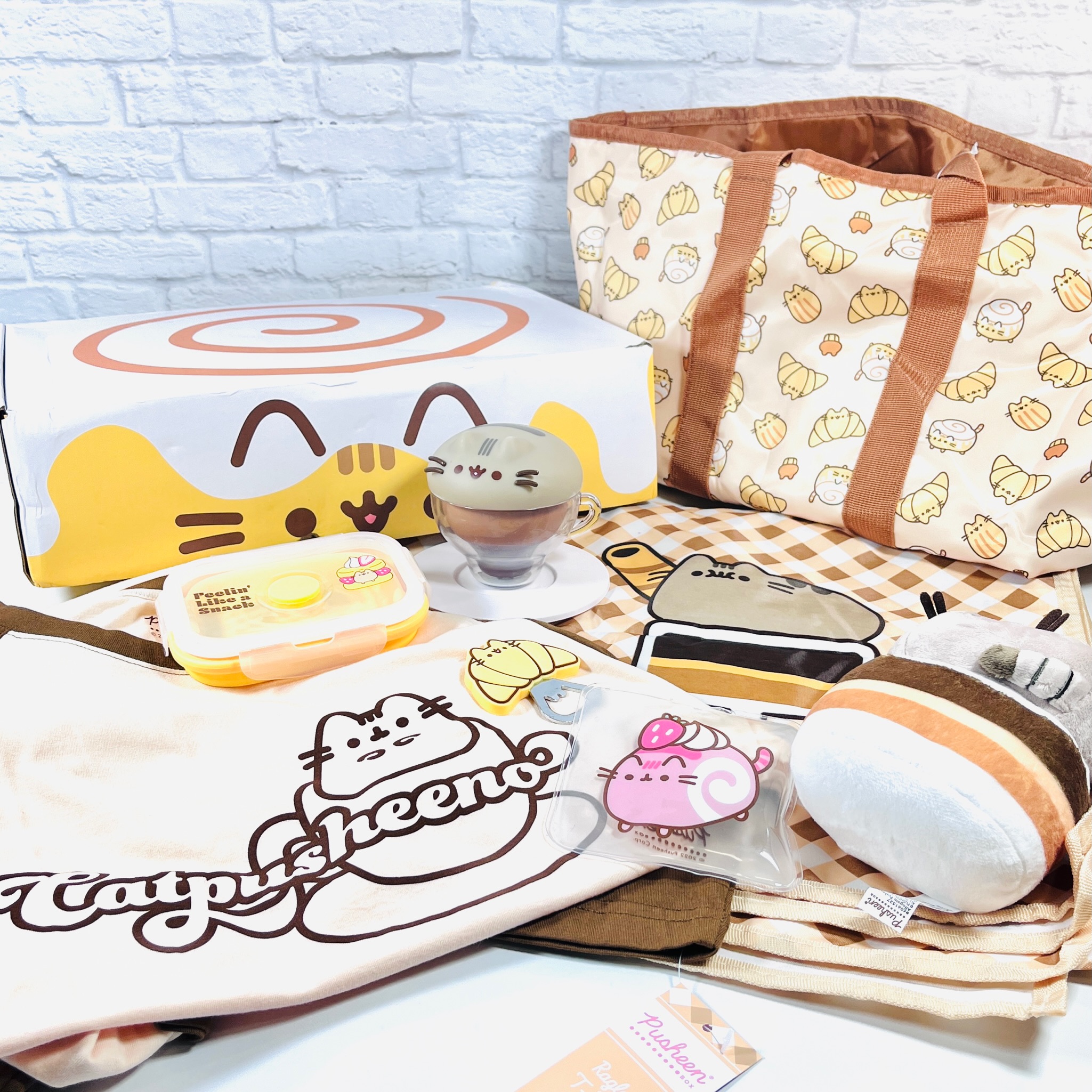 Pusheen 2025 picnic blanket