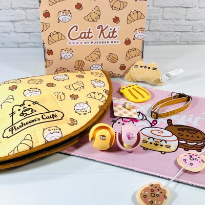 Cat Kit by Pusheen Box Summer 2022: Sweet Picnic