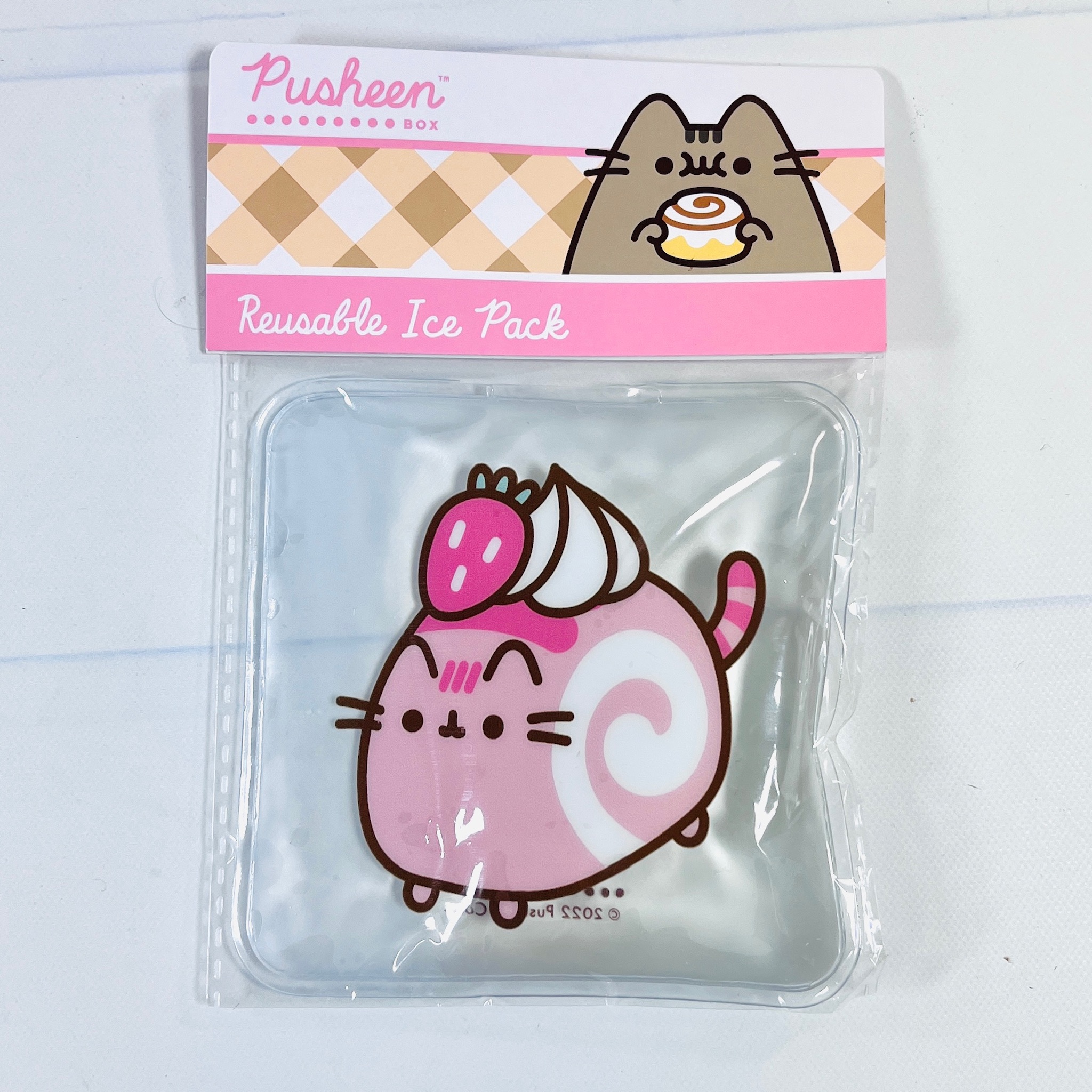Pusheen Box Review: Sweet Picnic This Summer 2022! - Hello Subscription