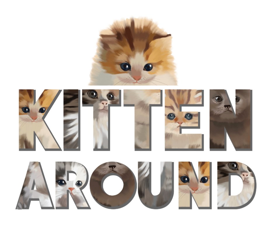 Cat Lady Box Reviews Get All The Details At Hello Subscription!