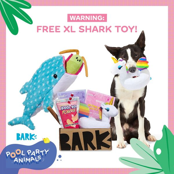 barkbox shark toy