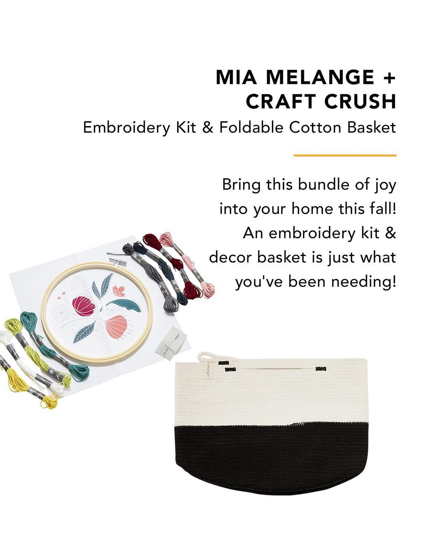 FabFitFun Fall 2022 Spoilers Craft Crush Embroidery Kit & Mia Melange Foldable Cotton Basket