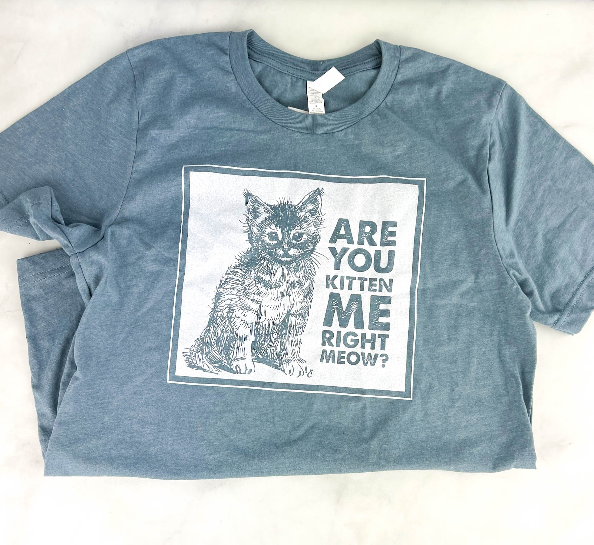 Cat Lady Box August 2022 Review Kitten Around Hello Subscription