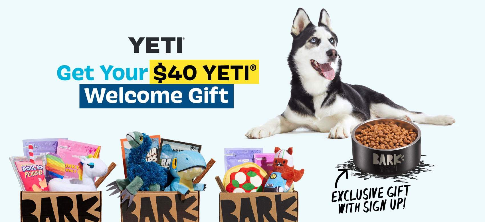 barkbox yeti bowl offer