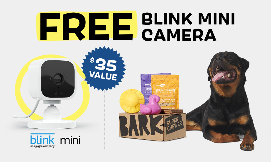 bark box mini camera