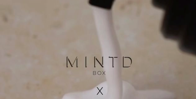 MINTD Box September 2022 Spoilers!