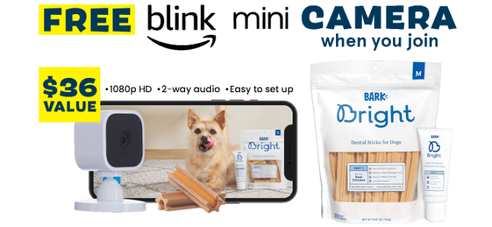 Bark Bright Coupon:  Free Blink Mini Camera With Dog Dental Kit Subscription!