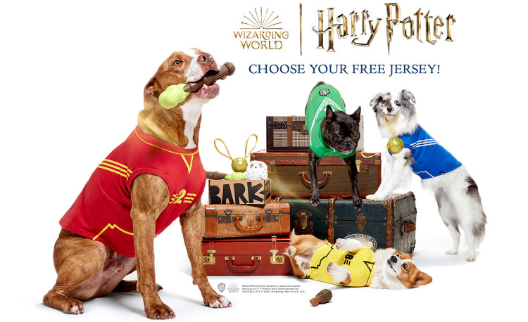 harry potter dog chew toys